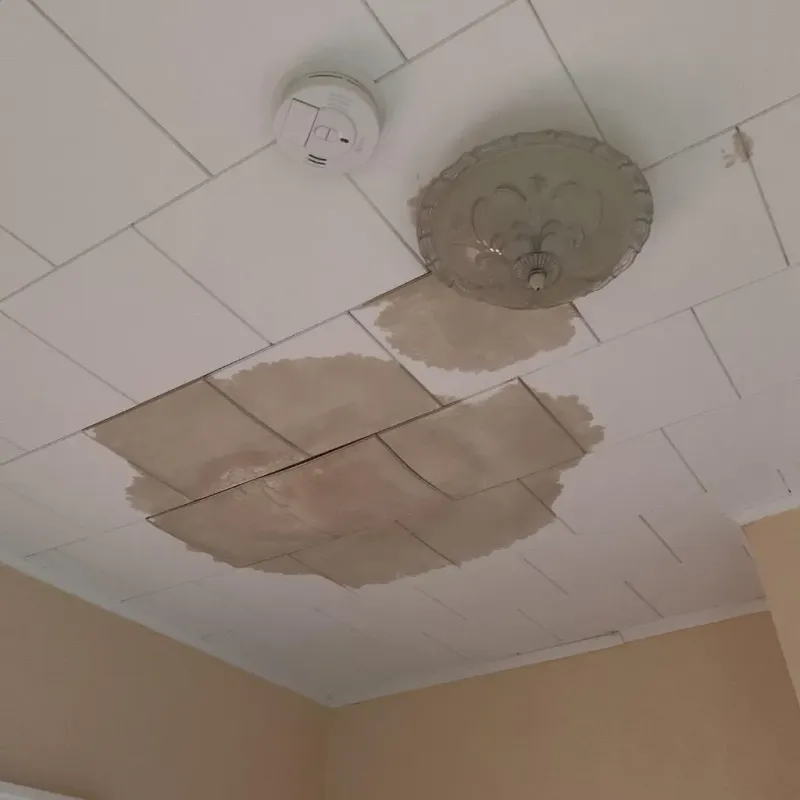 Ceiling Water Damage Repair in Chebanse, IL