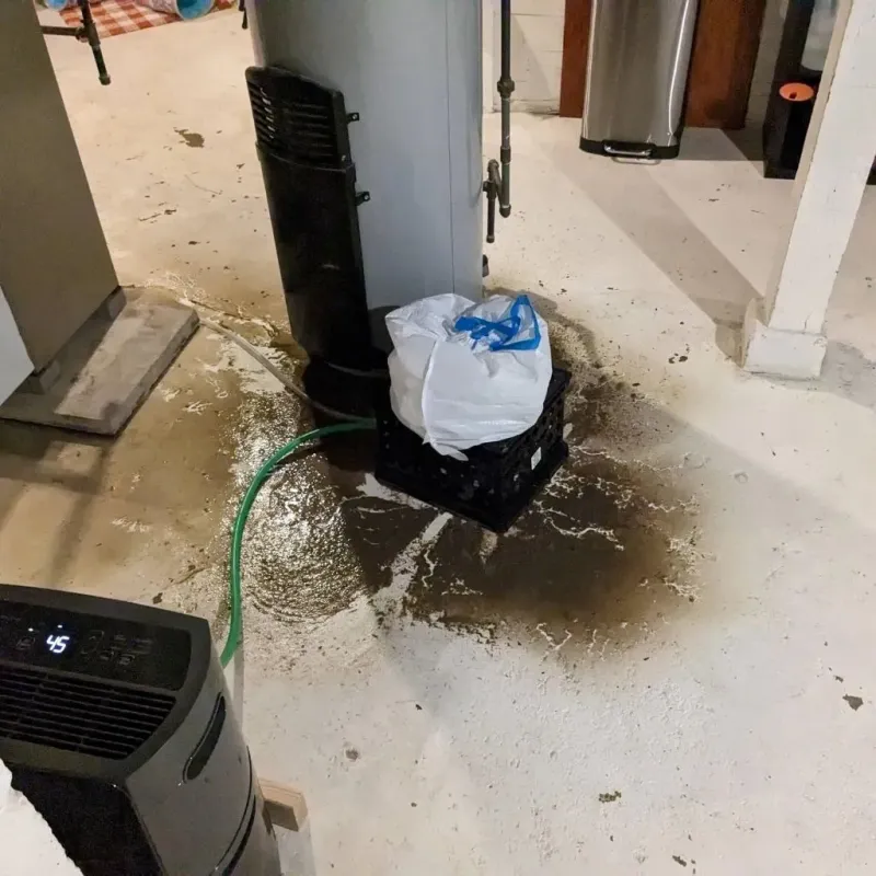 Sewage Backup Cleanup Service in Chebanse, IL